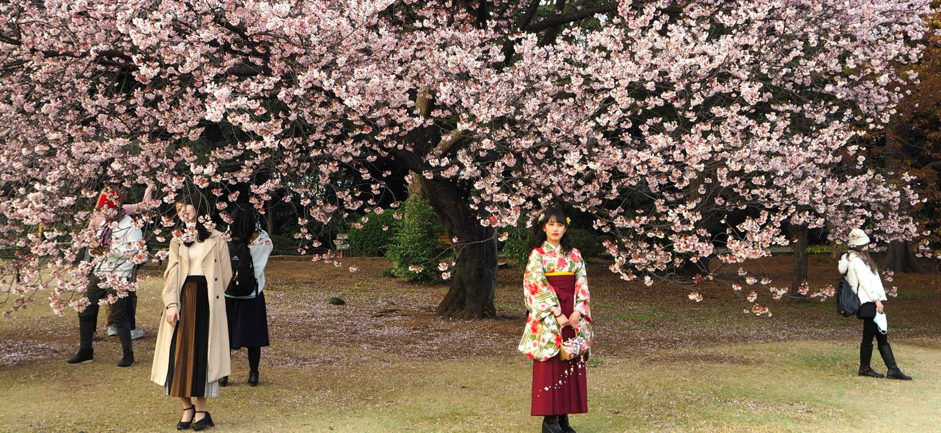 Voyage au Japon… à Albi