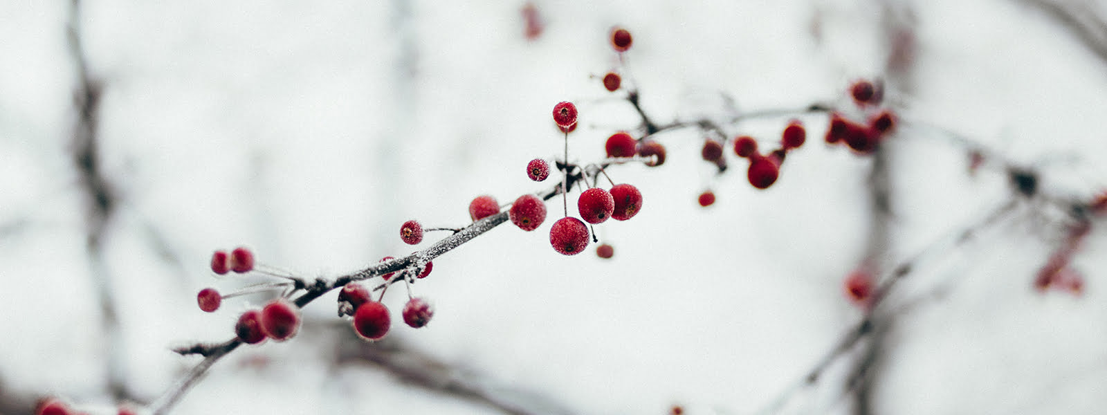 On fait quoi en décembre ?