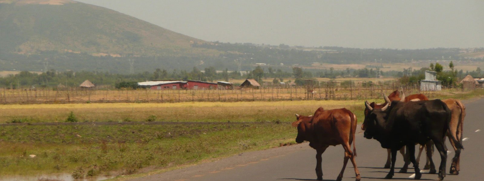 Romane nous fait visiter l’Ethiopie