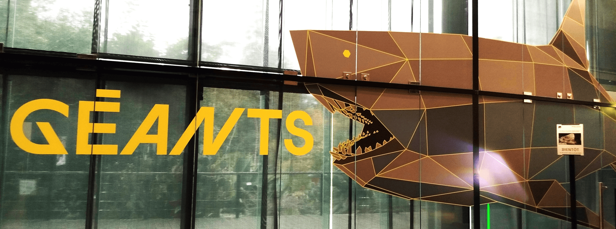 Laura part sur les traces des géants du Cénozoïque