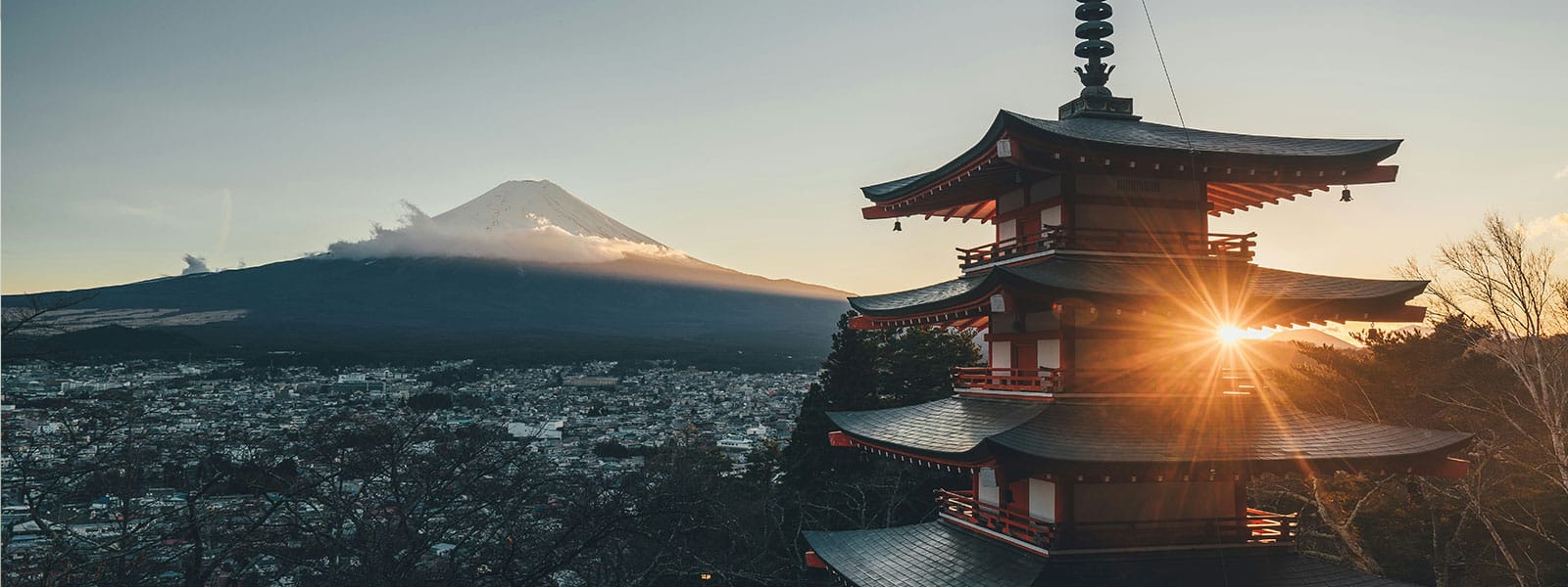 Noriko anime la quinzaine du Japon