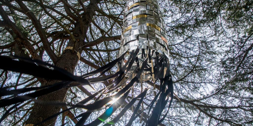 9B le LAIT Leonor RIVAS