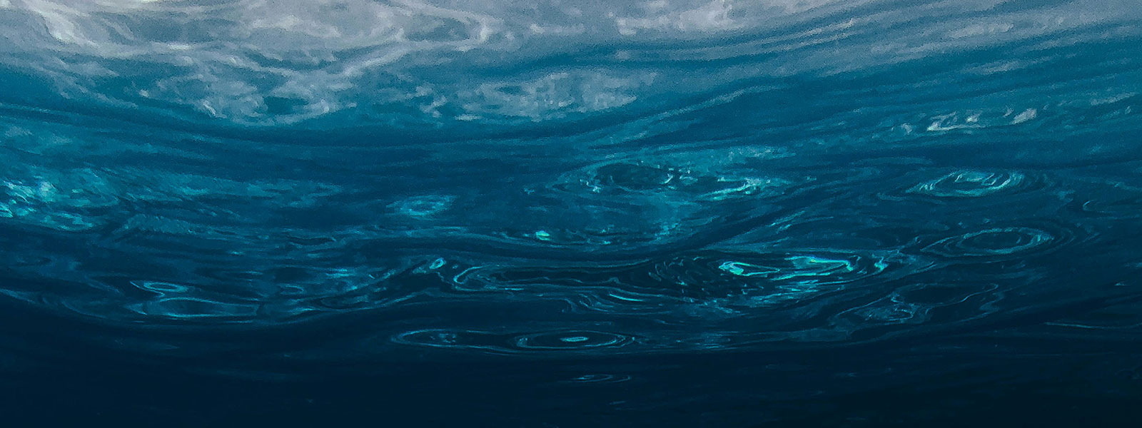 Crée un article de journal sur le thème de l’océan