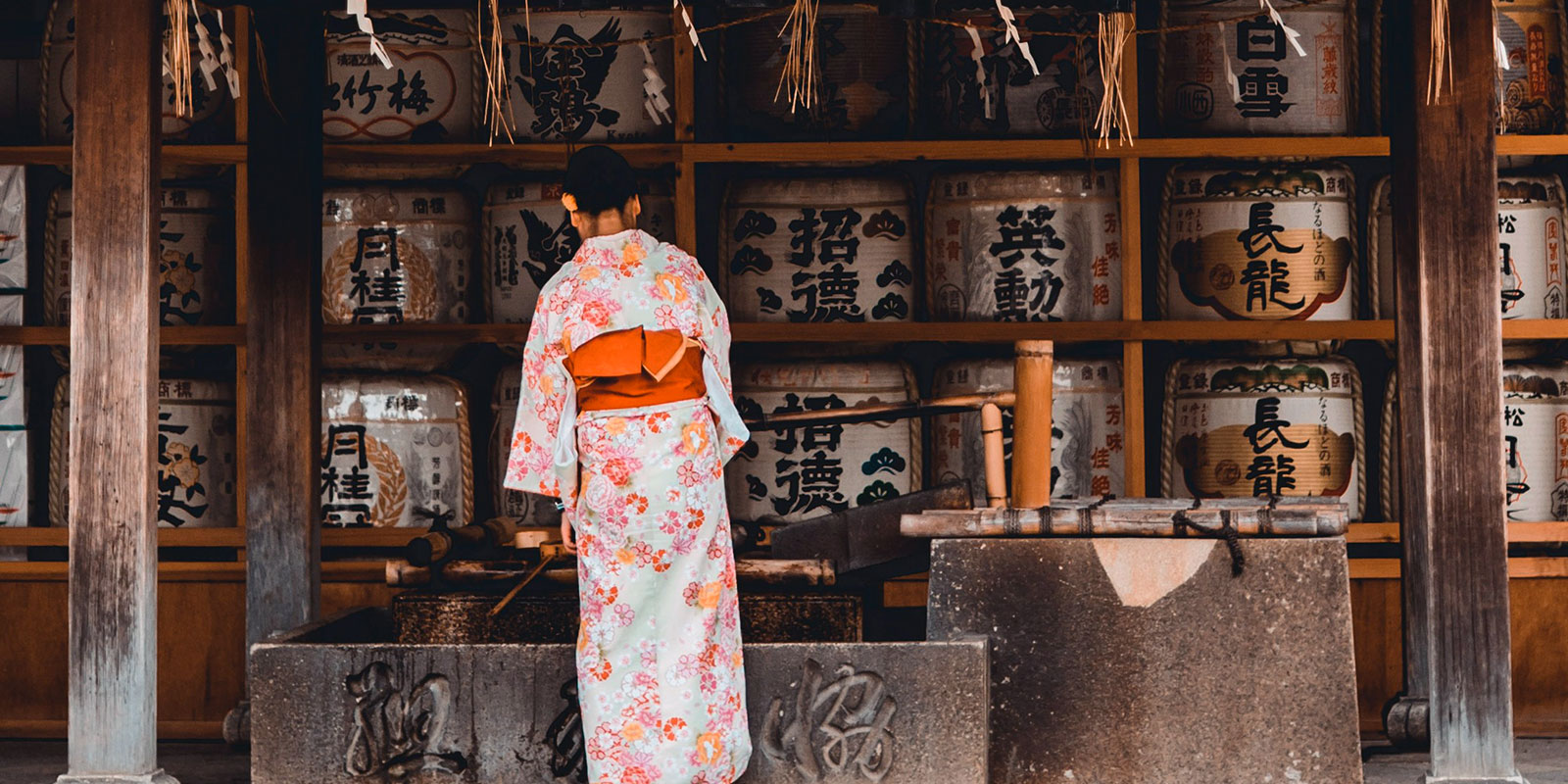 On fait quoi en novembre ?